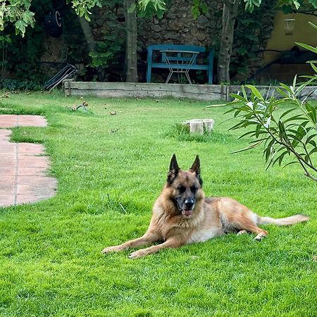 Santa Caterina - Dog Friendly With Garden Villa Sobrestany Eksteriør bilde